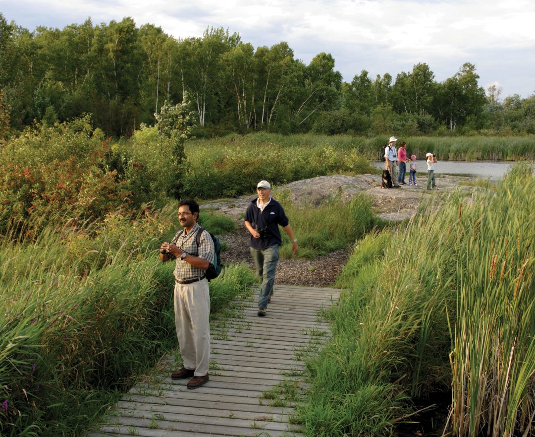 Bird Watching Laurier Woods - City of North Bay