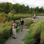 Bird Watching Laurier Woods - City of North Bay
