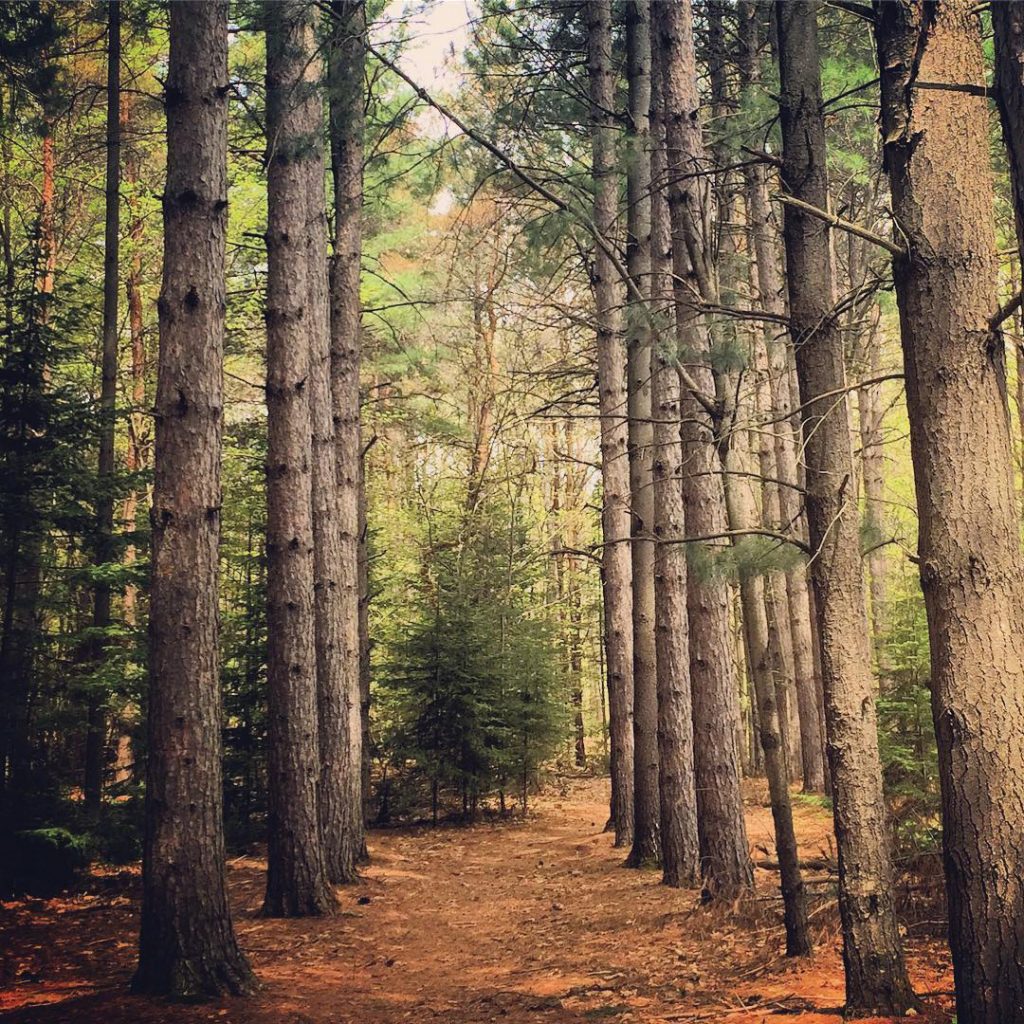 Black Forest Park North Bay - @emiliesagle