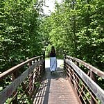 Kinsmen Trail Eco Path Bridge