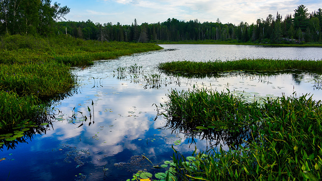 La Vase Portages Conservation Area - Hiking Trails and Canoe Routes