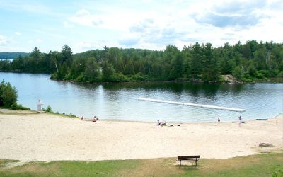 The Cove, Trout Lake