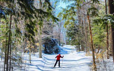 North Bay Nordic Ski Club