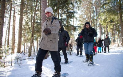 Laurentian Escarpment