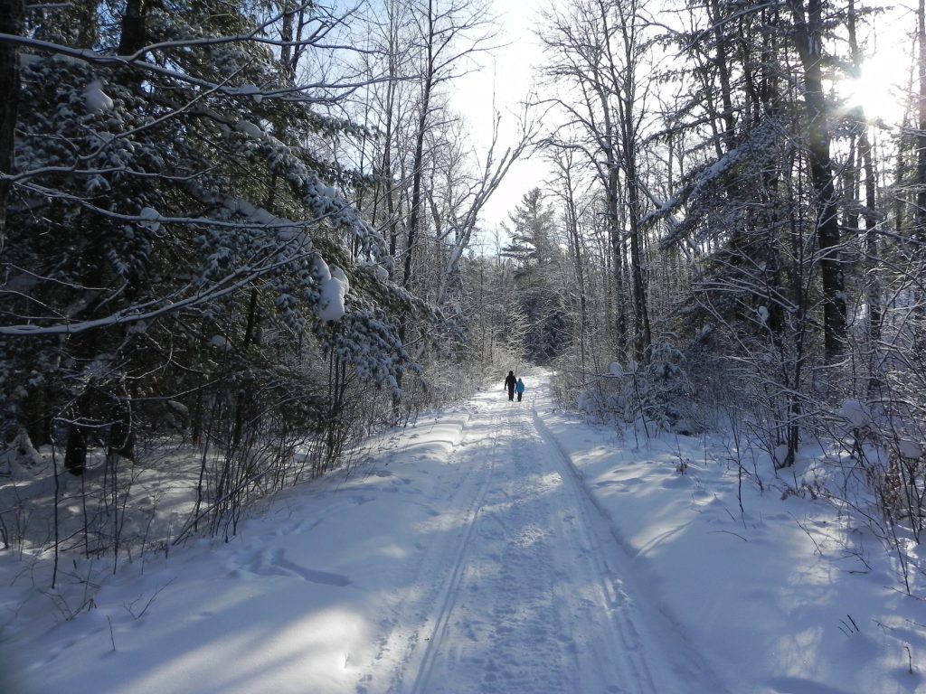 Family walking the snowy Trans Canada Trail in Callander
