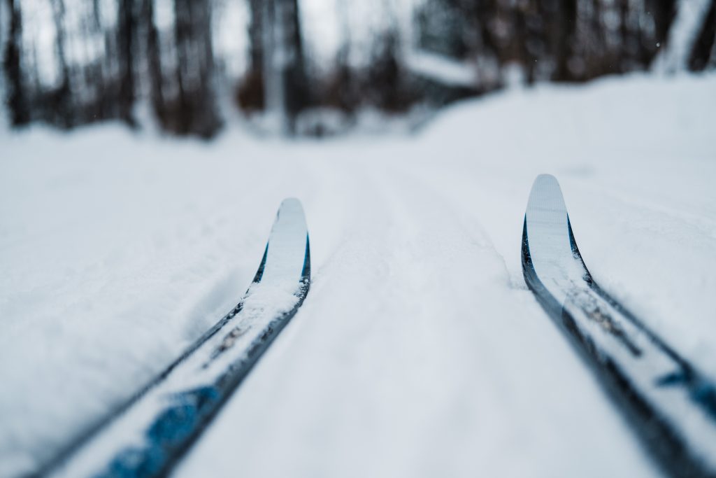 Cross country Skis