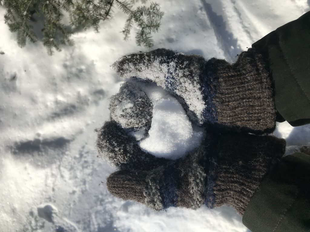 Mitts holding snow