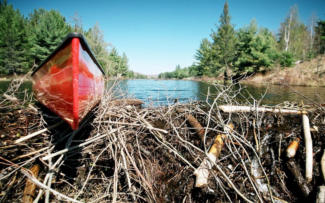 North Bay’s Legendary Waterways