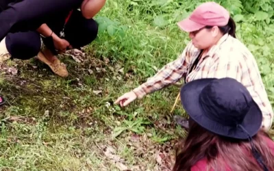 Foraging for Beginners