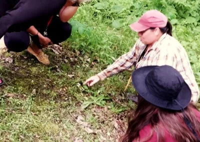 Foraging for Beginners