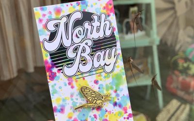10 Fun Things to do in North Bay