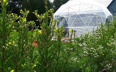 Sustainable Farm Tour
