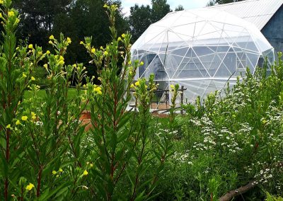 Sustainable Farm Tour