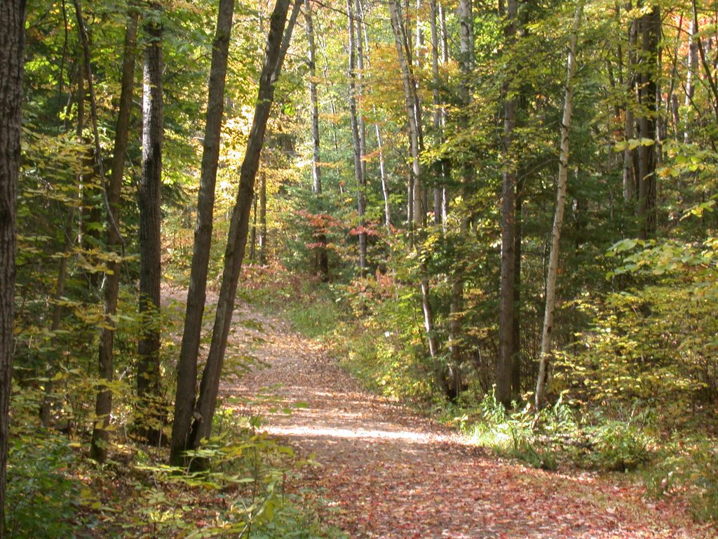 Cranberry Trail North Bay in Summer