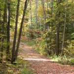 Cranberry Trail North Bay in Summer
