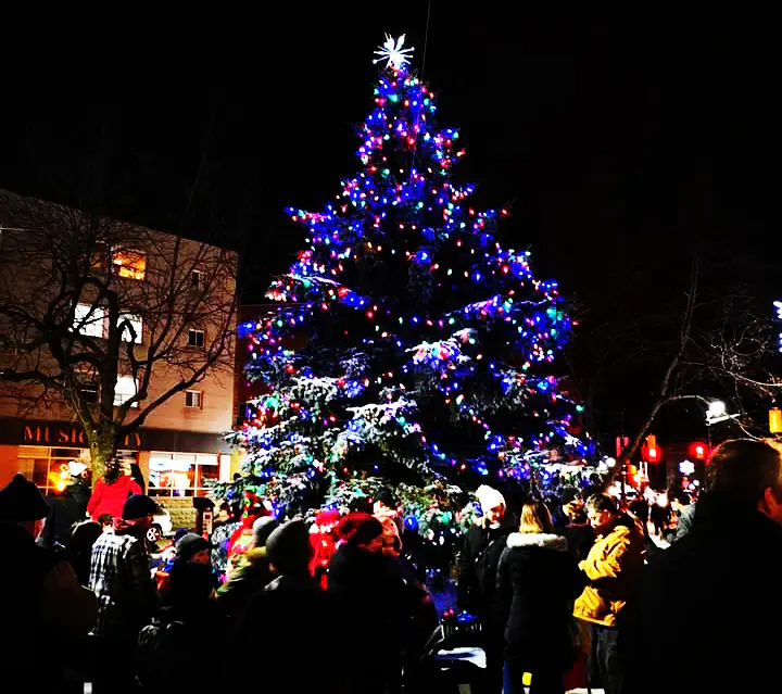 Downtown Old Fashioned Christmas Walk