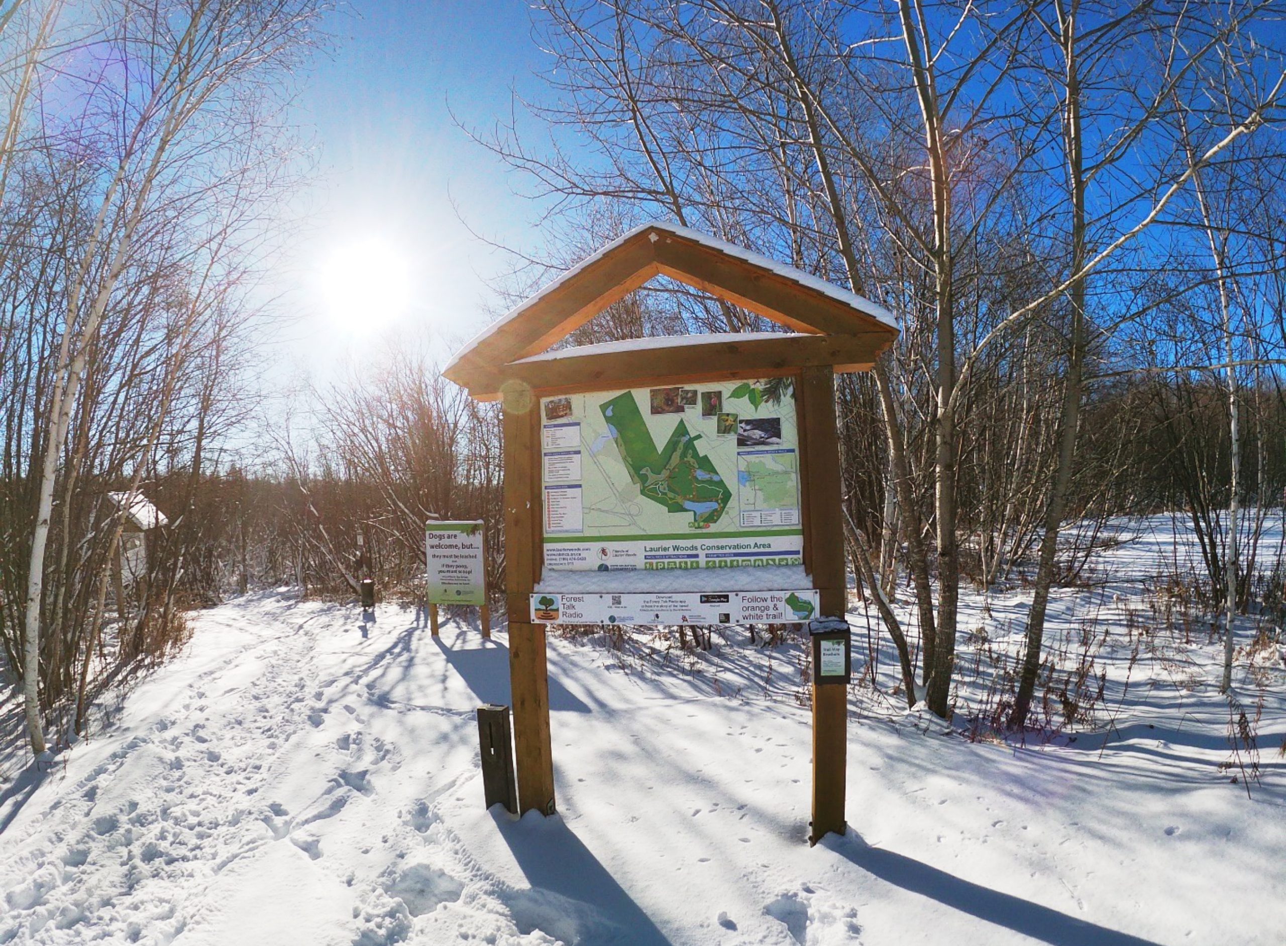 Fat biking in Laurier Woods