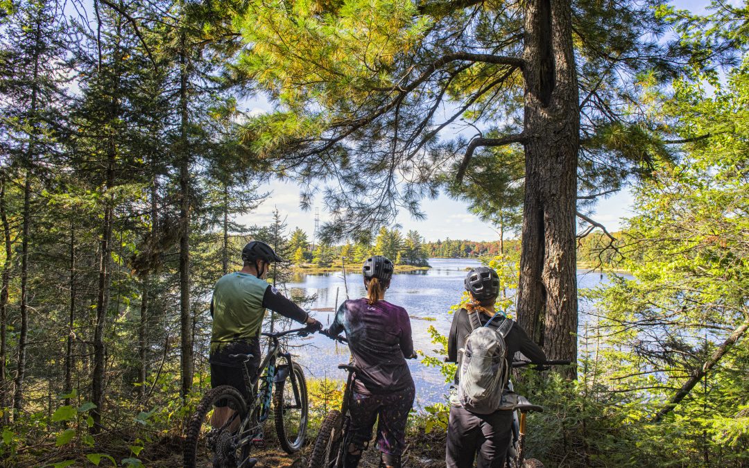 Four easy steps to tune up your bike this Spring!