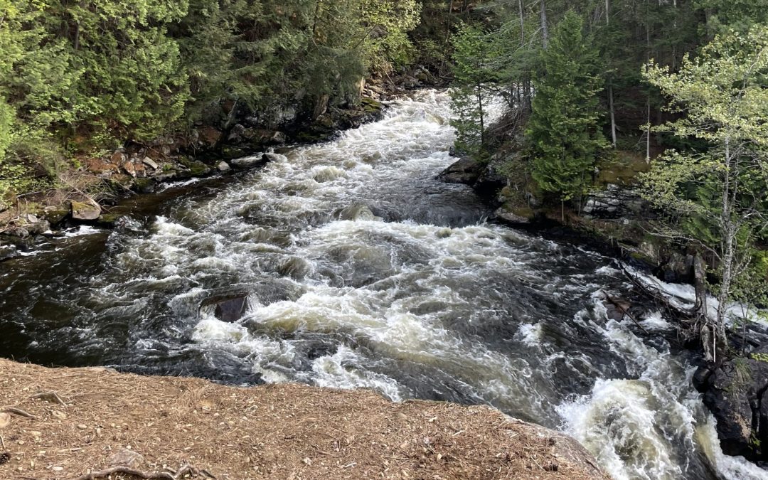 Happily Seeking Waterfalls in North Bay