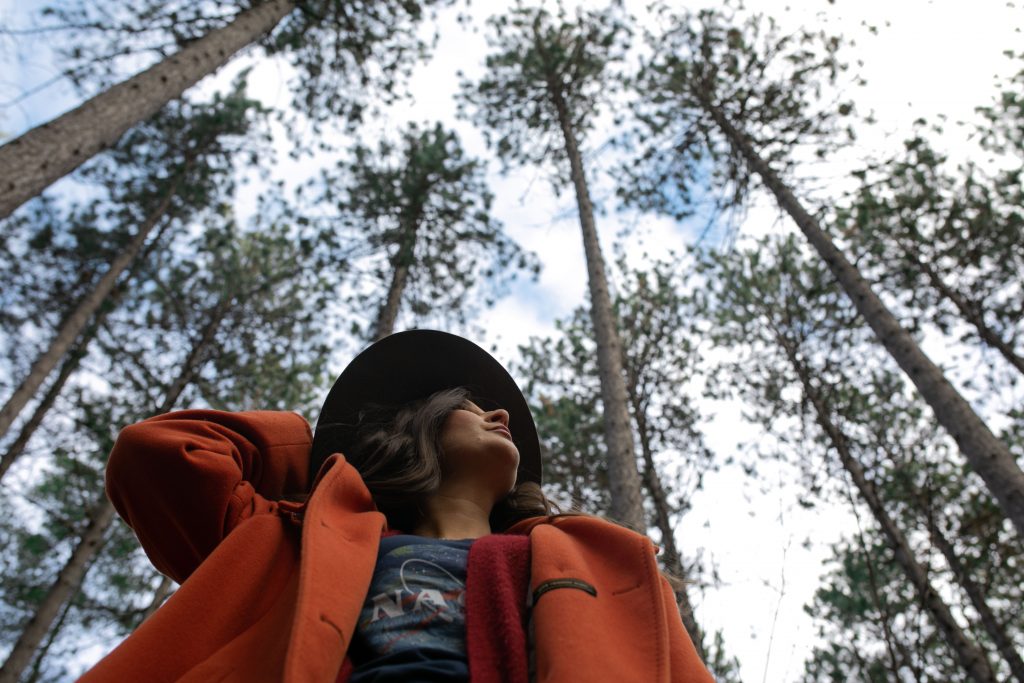 Black Forest Park North Bay Ontario