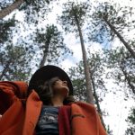 Black Forest Park North Bay Ontario