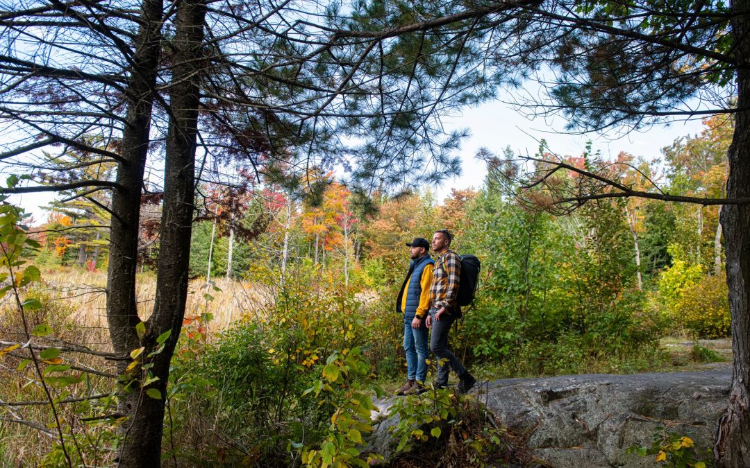 North Bay’s Best Fall Hikes