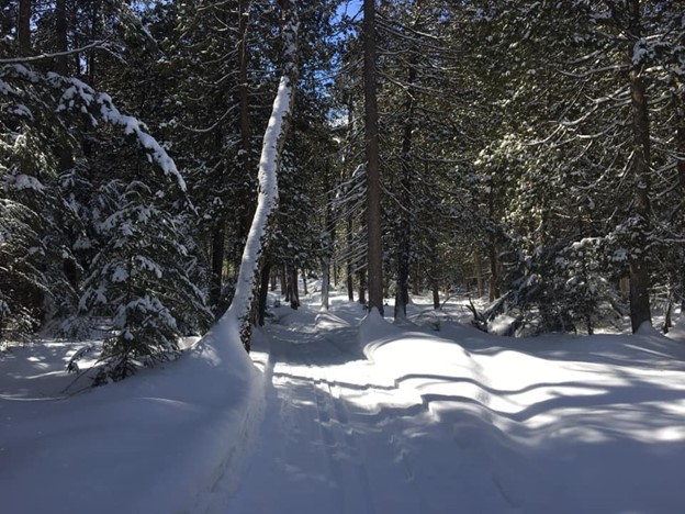 Almagiun Community cross country Ski Trails