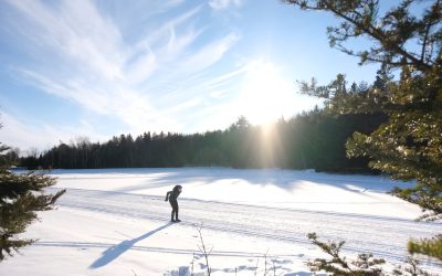 Cross Country Ski In North Bay
