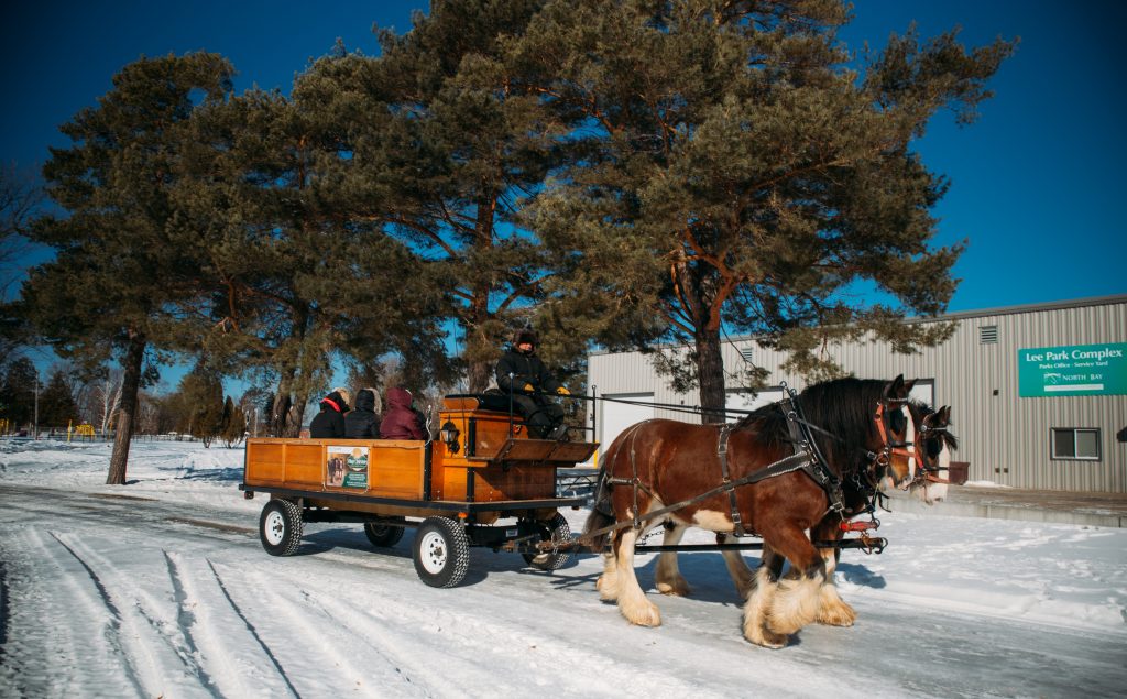 Le Carnaval Horse Carriage