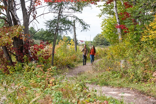 Fall hiking in North Bay