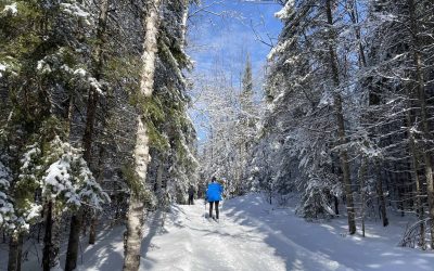 2023 Best 10 Snowshoeing Trails in North Bay