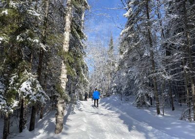 Wasi Cross Country Ski Club