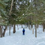 Laurier Woods hiking in winter