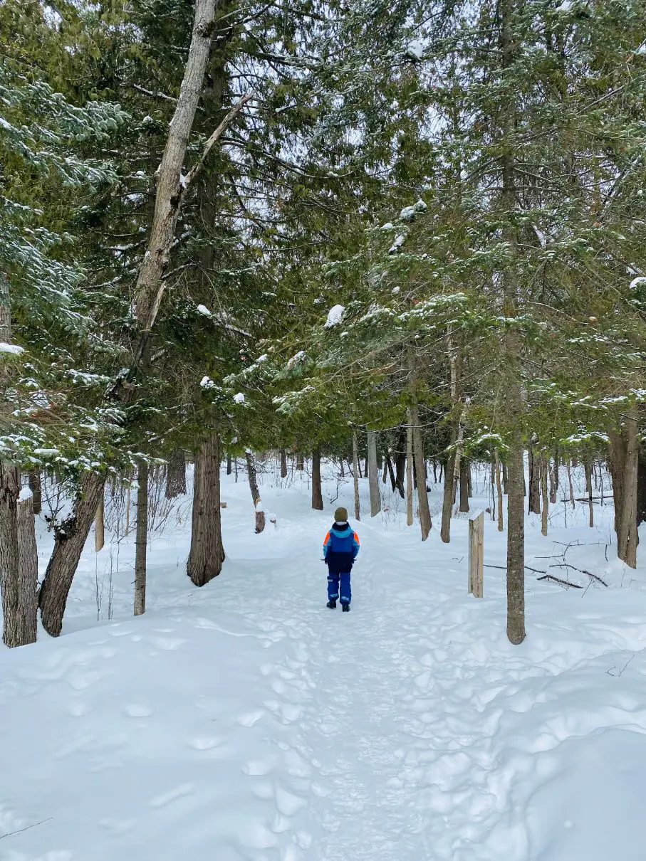 Snowshoeing along the Laurentian Escarpment