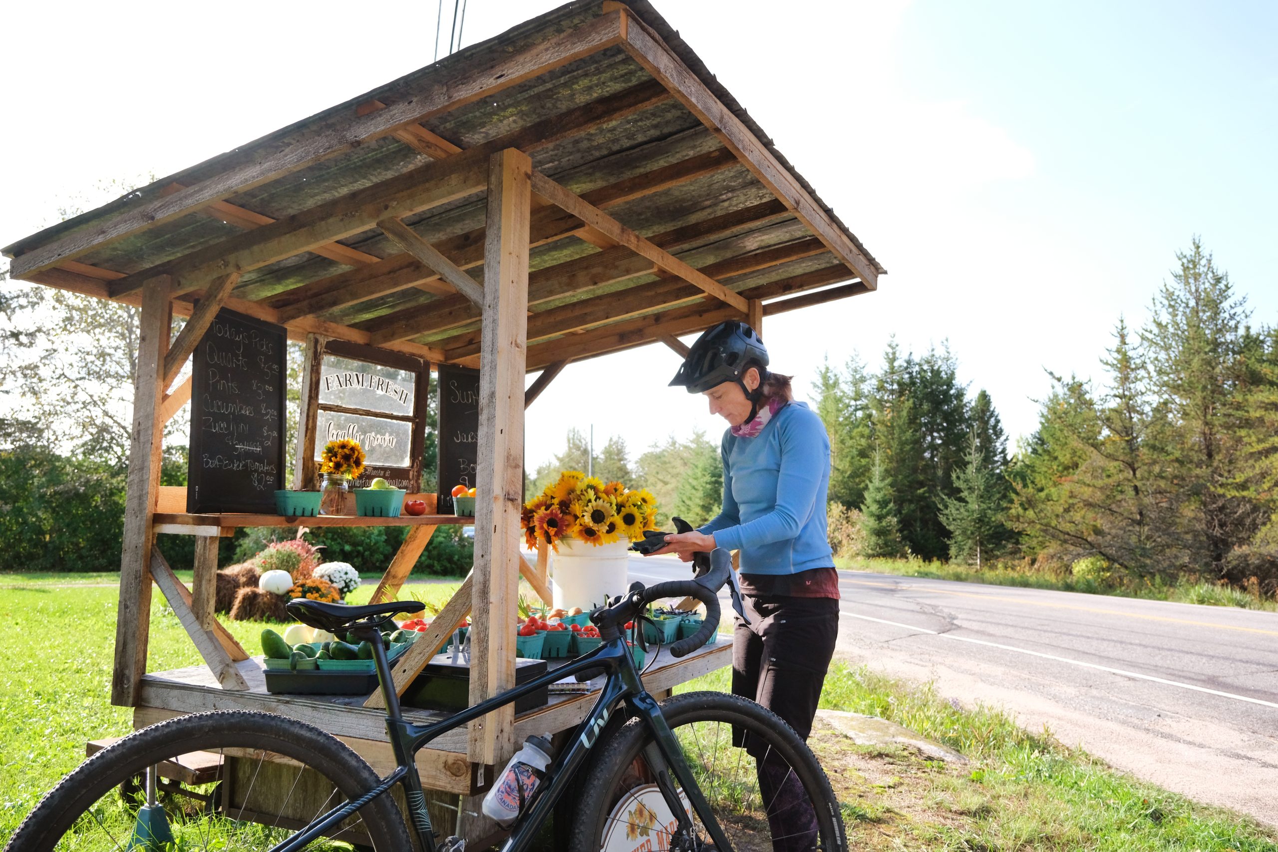 FarmStand Cycle Tour Powassan