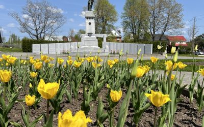 Tourism North Bay creates new Flight of Fancy Tulip Tour to recognize and celebrate the RCAF100