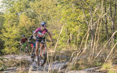 COME AND MOUNTAIN BIKE OUR WAY IN NORTH BAY
