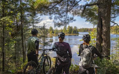 Three Towers Mountain Bike Trail
