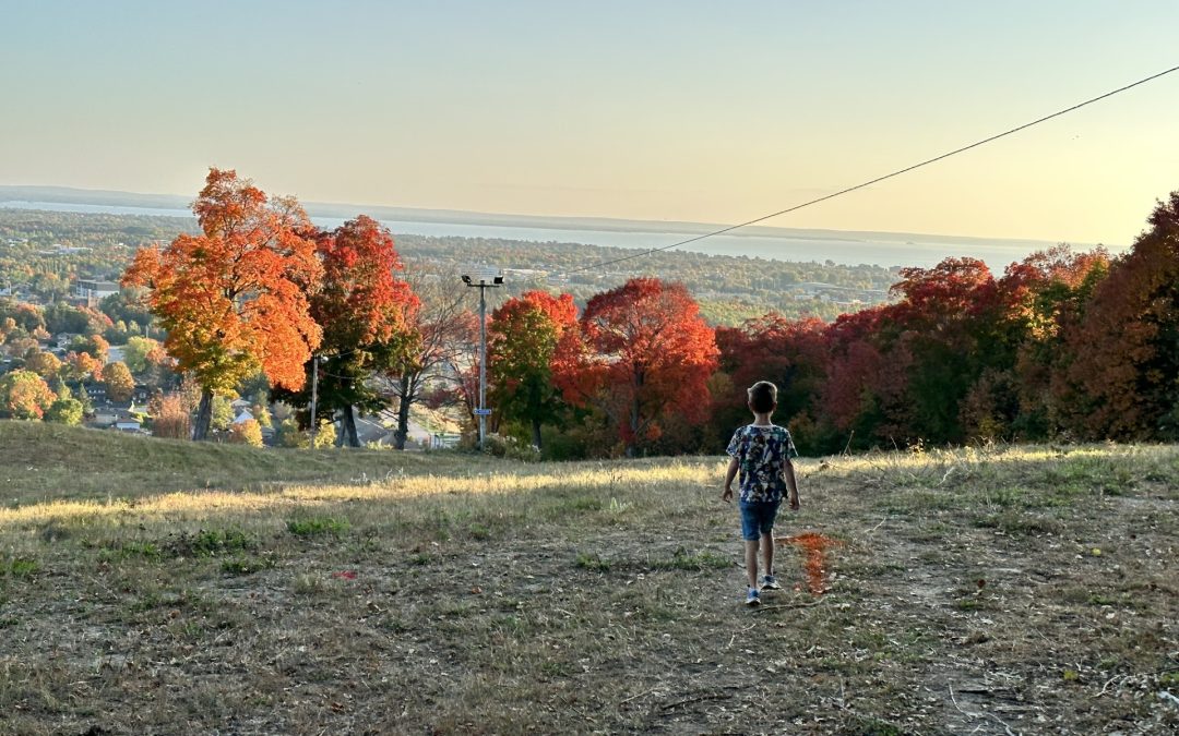 Fall Colours Ski Lift Tour