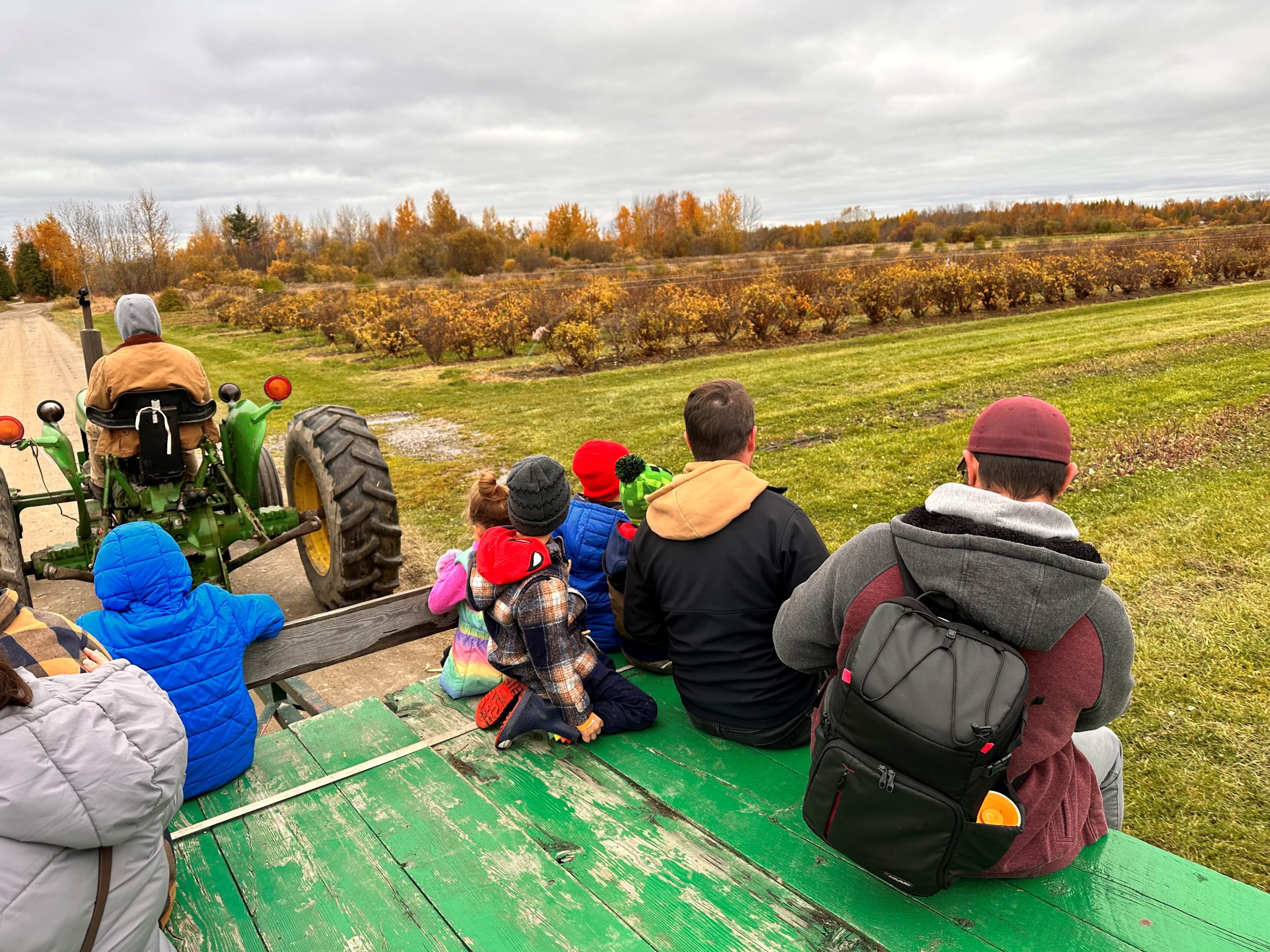 lesiure farnms Leisure Farms Tractor Ride