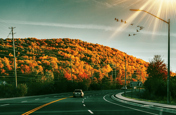 fall driving - web size Fall Colours North Bay