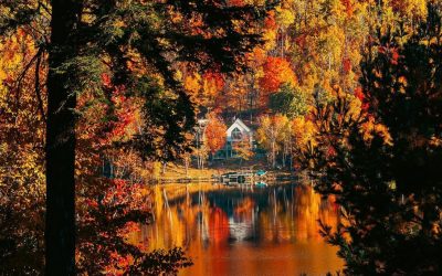 seven ways to FALL in love with North Bay