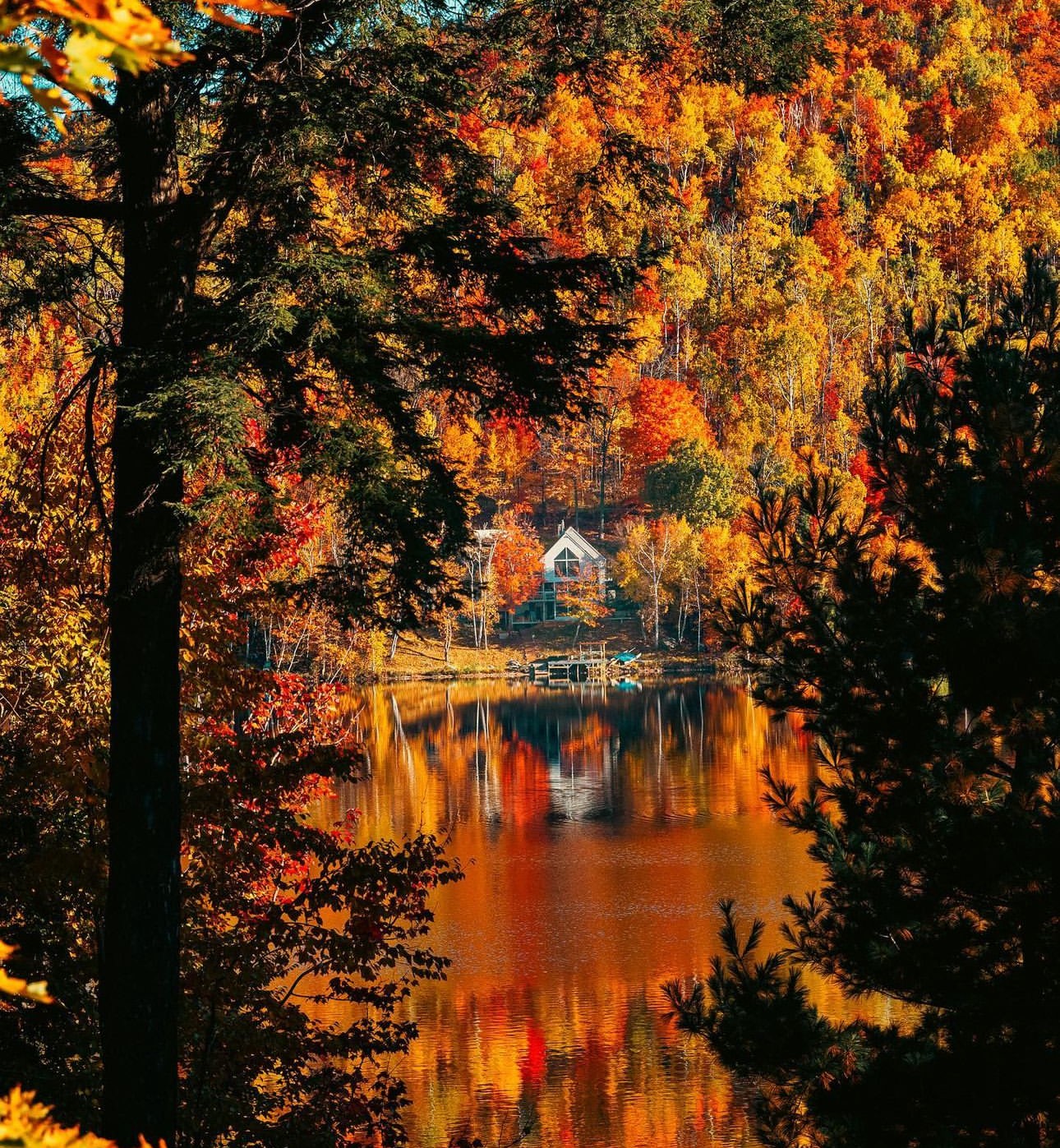 leaves change colour north bay