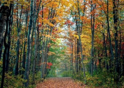 hiking - scott edworthy Hiking Fall NorthBay