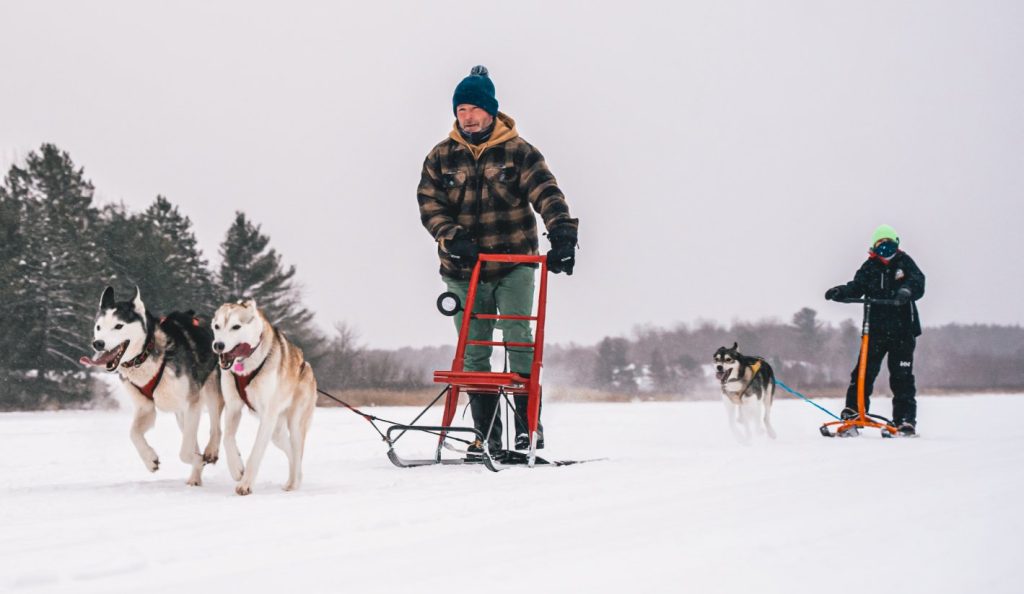 Dog Powered Sports - Dog Sledding in North Bay