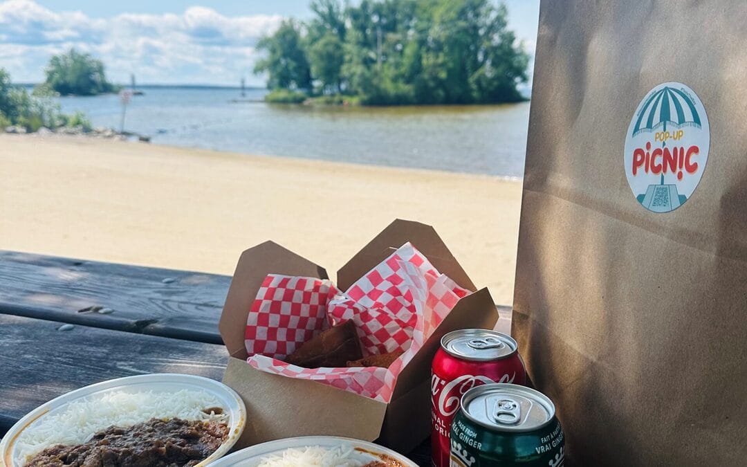 picnic lakeside beach north bay