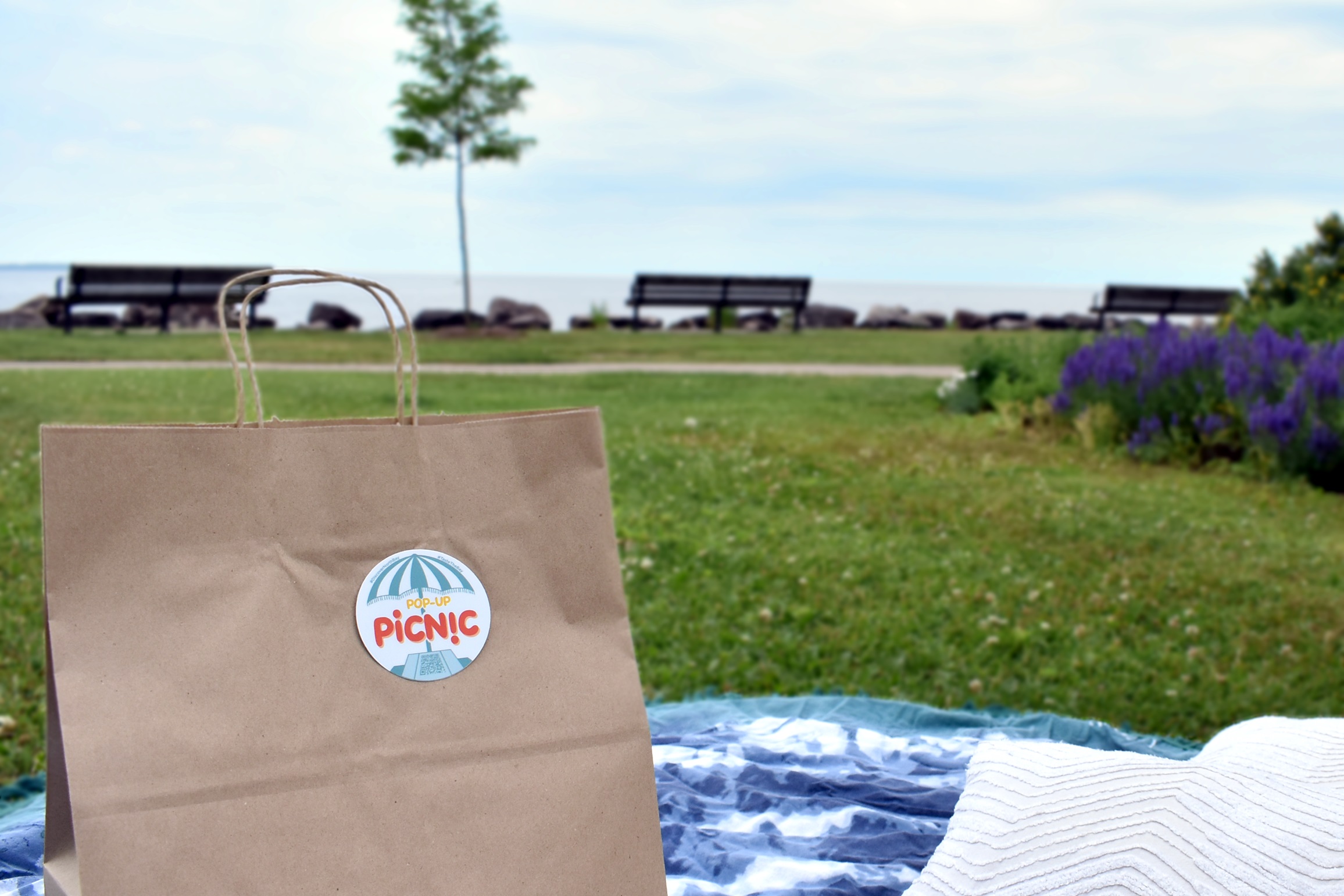 pop up picnic - golden goulet mile - north bay waterfront pop up picnic north bay waterfront