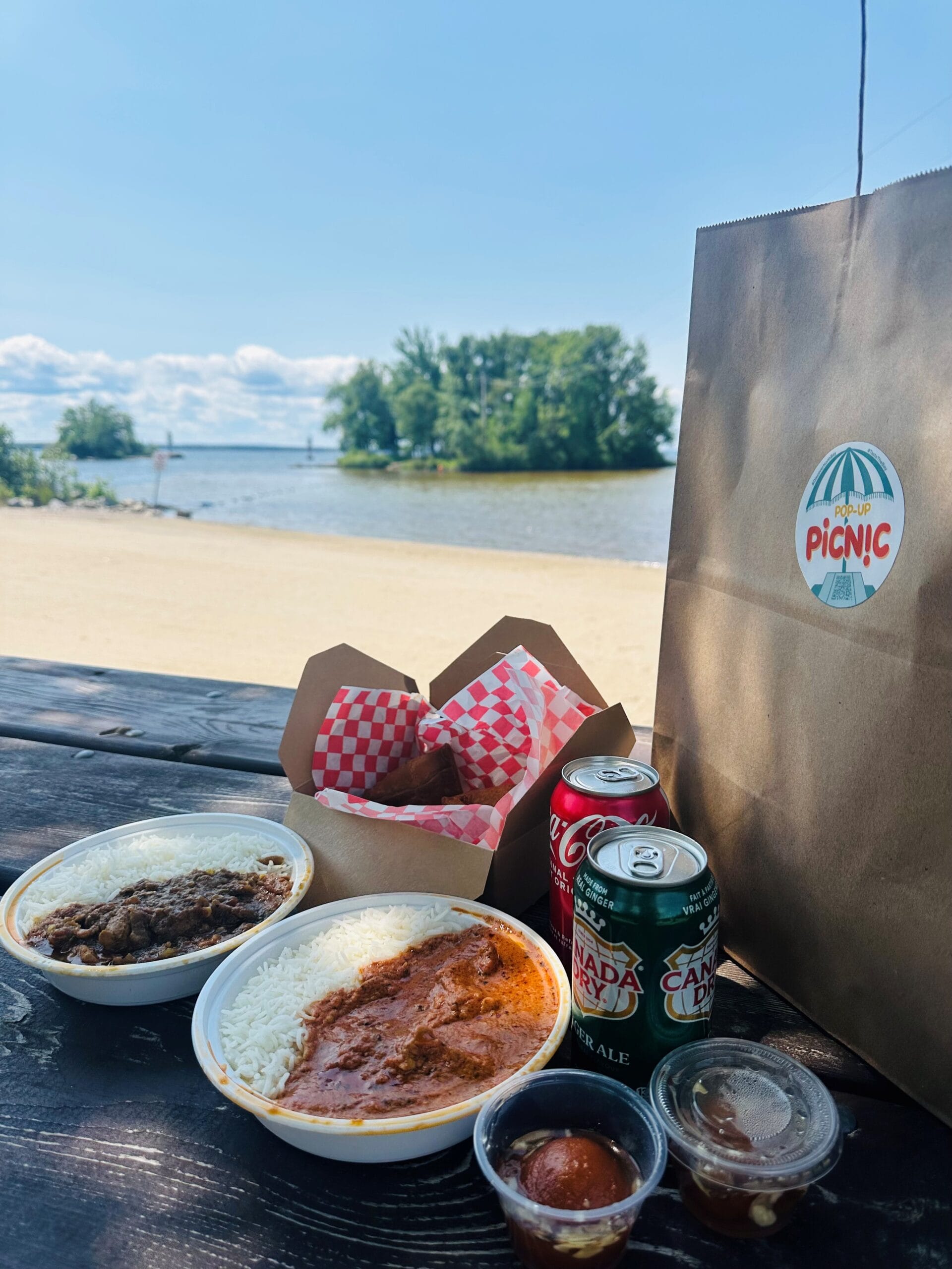 pop up picnic picnic lakeside beach north bay