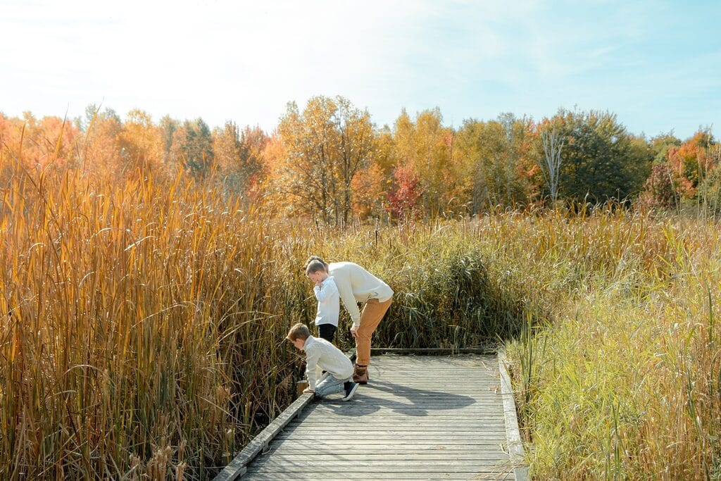 Laurier Woods Fall Colours North Bay