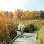 Laurier Woods Fall Colours North Bay